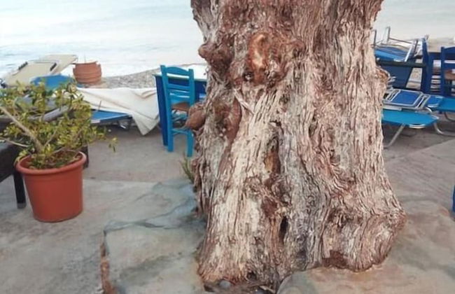 Beach Front Apartments - Foto 13