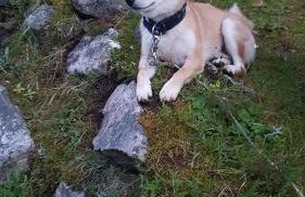 Haus am Scheibenfelsen - Foto 25