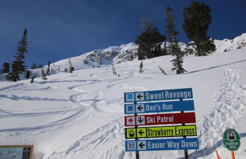 Cute Spacious Home - Photo 50