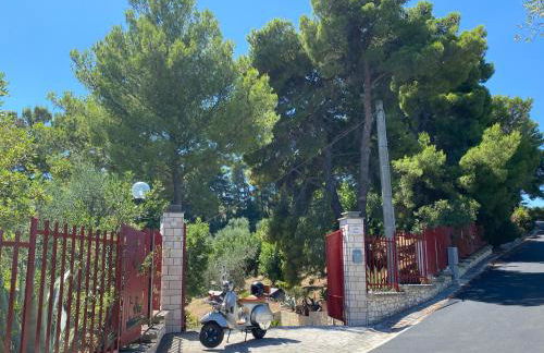 Villa Pineta - Foto 26