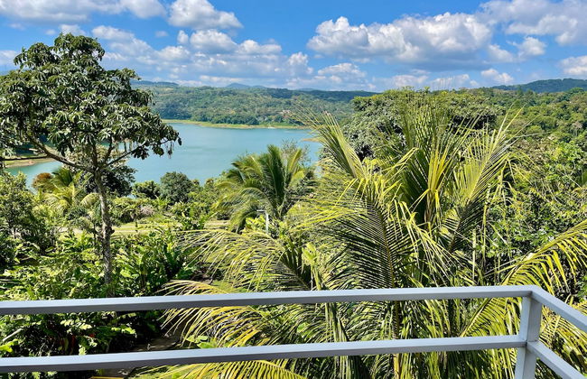 The Fruit Tree Garden Bromeliad Suite - Foto 13