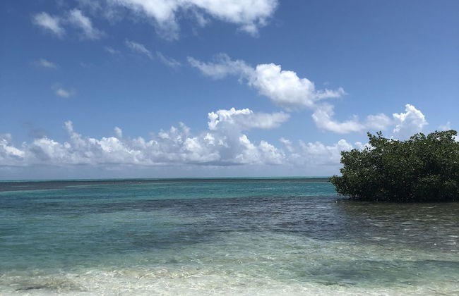 Shaka Caye - Photo 58