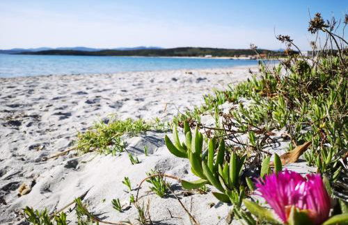Insardinia House trilocale a 200mt dalla spiaggia - Photo 21