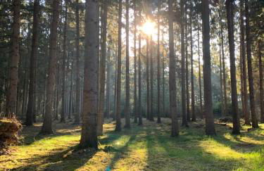 Heide-Huus Landliebe - Foto 31