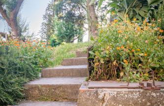 Agriturismo La Querciola - Foto 23