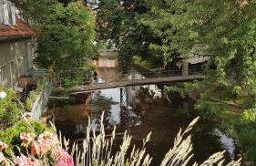 Altstadtapartment an der Krämerbrücke - Foto 18