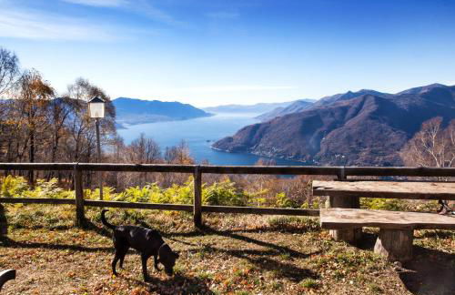 La Torretta "I Gabbiani" sul Lago Maggiore - Foto 66