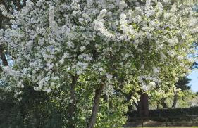 Gîte Lann Er Viline - Foto 55