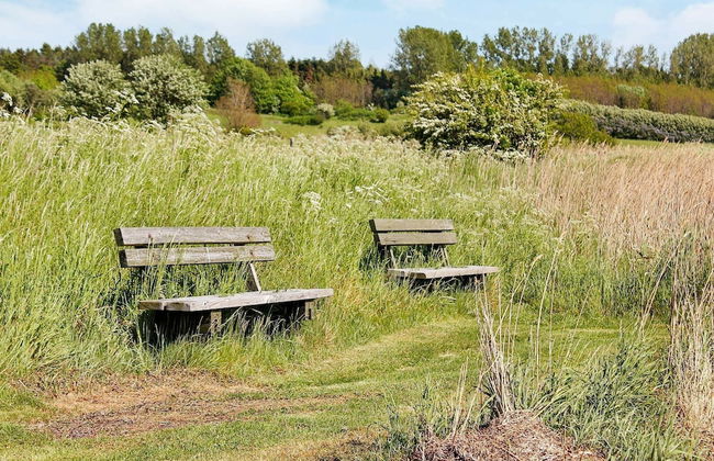 Luxurious Holiday Home in Millinge With Roofed Terrace - Foto 13