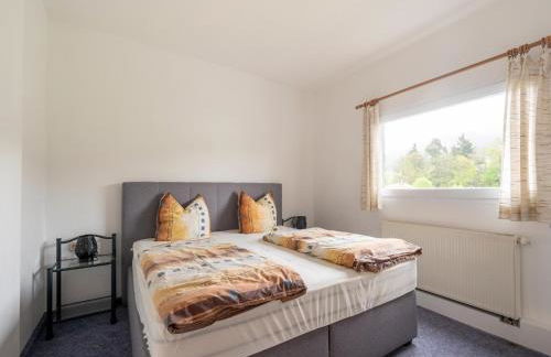 Grosse Gruppenunterkunft im Nationalpark Eifel mit Bar und Terrasse - Foto 9