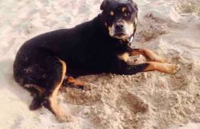 Hot tub - Number 37 - Foto 18