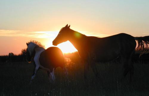 Apartment Seerose by Interhome - Foto 16