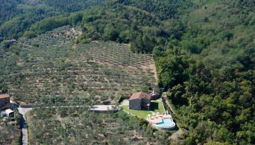 Poggio di San Biagio - Foto 5, Garden view