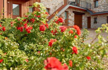 Agriturismo l'Uva e le Stelle - Foto 58