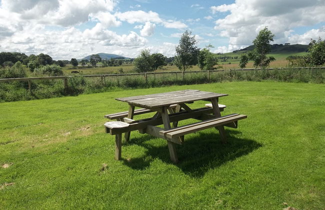 The New Farmhouse - Foto 16