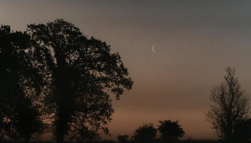 Maglia Rosso by Wigwam Holidays - Foto 5