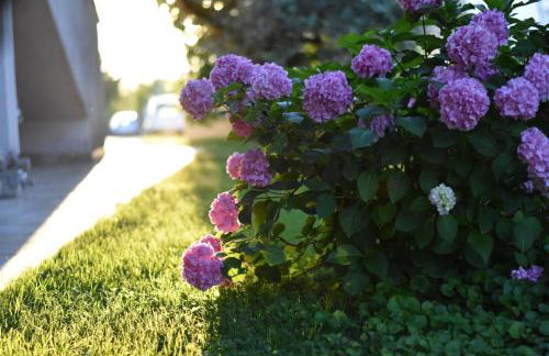 Apartment Sopta - Photo 14