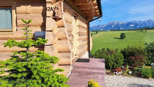 Domki Góralskie Dwa Misie - Foto 2