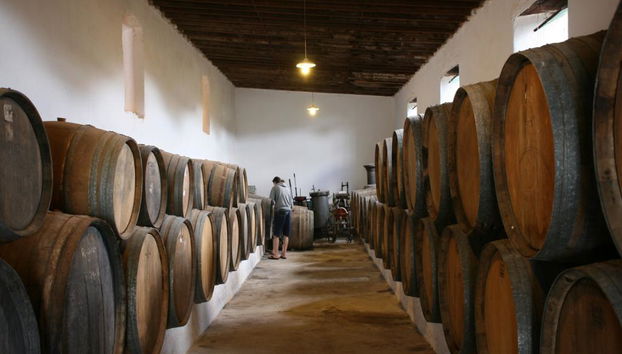 Lanzarote - Grand Tour - Photo 4