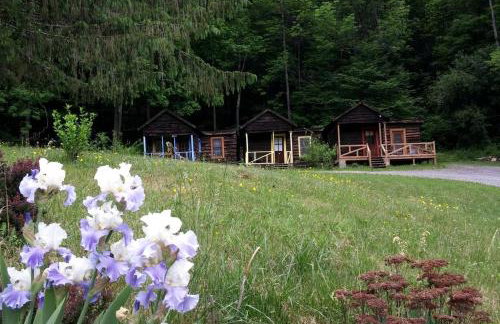 Rustic Couples' Cabin for Idyllic Catskills Getaway, Upstate New York - Foto 9