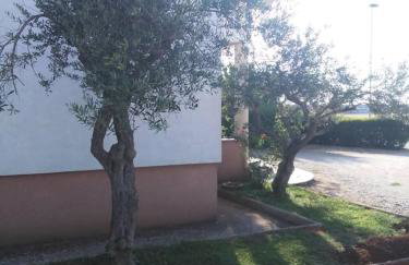 Apartment Narcisa with Terrace - Photo 15