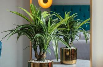 La Granja Villa - Foto 34