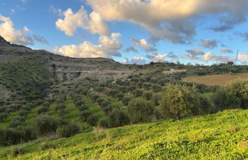 Mount Tatum - Foto 17