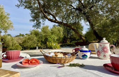 Casa de Campo La Mejorana Refugio entre olivos sin renunciar al confort - Foto 15