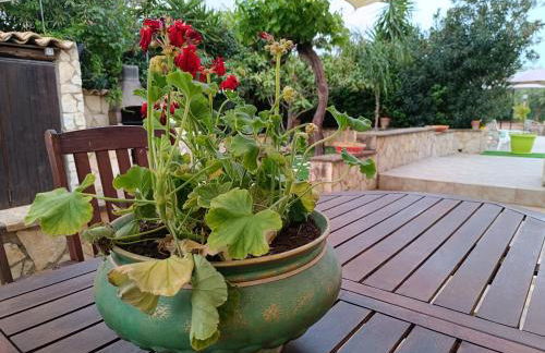 Scanio's House - Foto 17