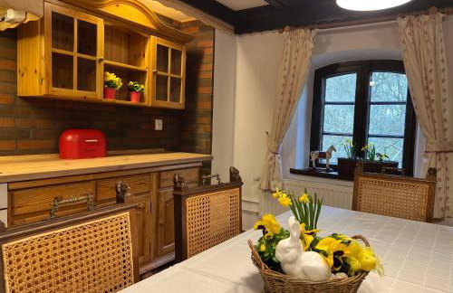 Apartament w XIX-wiecznym Spichlerzu nad Jeziorem z dostępem do parku i widokiem na Dworek Modrzewiowy z 1823 roku - Foto 19