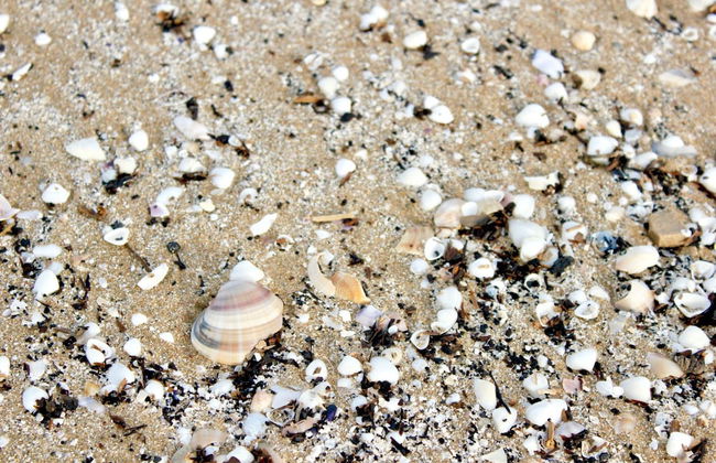 Comtessa in Oliva With 1 Bedrooms and 1 Bathrooms - Foto 20