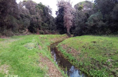 Casa nel parco sulla spiaggia - Foto 30