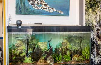 ArtistMemory Appartement - Foto 69