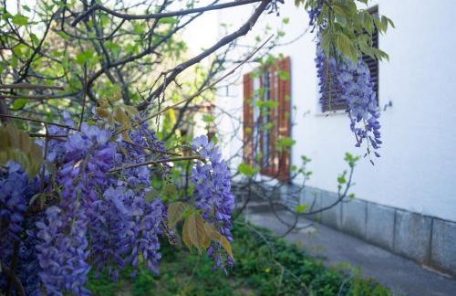 Apartment Lara - Photo 29