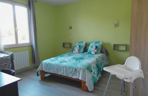 Gîte du Vert Galant - Foto 13