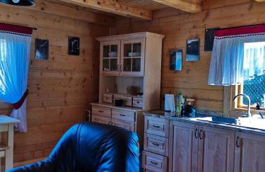 Siedlisko Sielska Dolina Nad Stawem luksusowy domek całoroczny z klimatyzacją - Foto 37