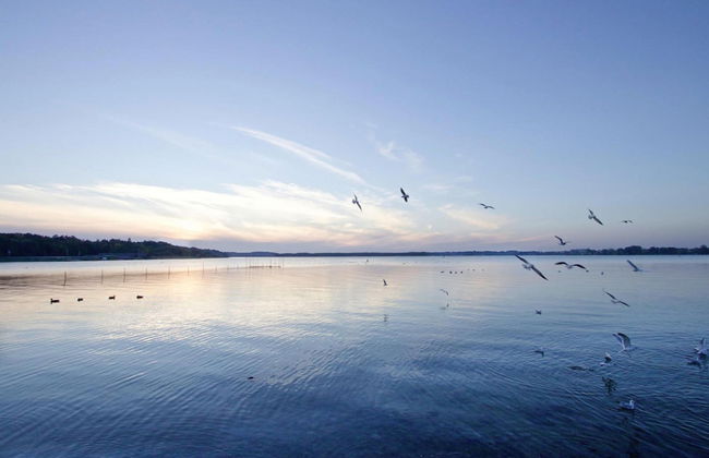 Appartements im Maremuritz Yachthafen Resort - Foto 30