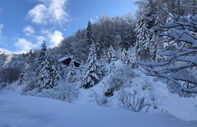 Wildromantisches Appartement am Bachlauf - Photo 24