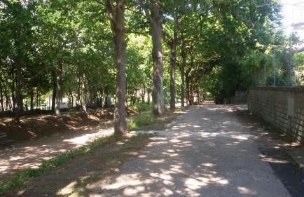 alloggio turistico olmata - Foto 1