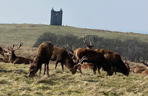 Greenacres Hall - Photo 40