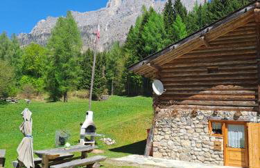 Baita Pra Petina Pale di San Martino - Photo 8