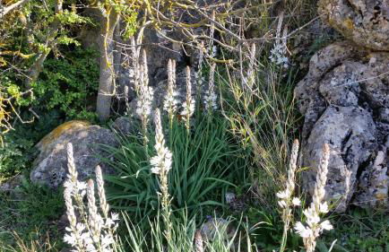 Finca Las Morenas - Foto 44