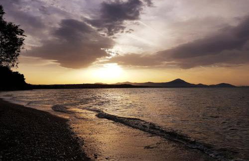 Beachfront House Villa 35min from Athens - Foto 40