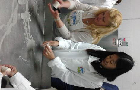 Masseria Salecchia - Foto 37