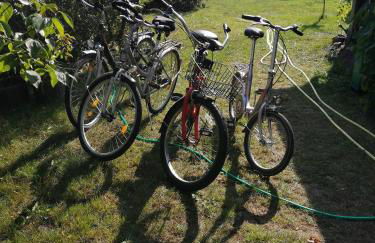 Ferienhaus Wilhelm Spreewald - Foto 18