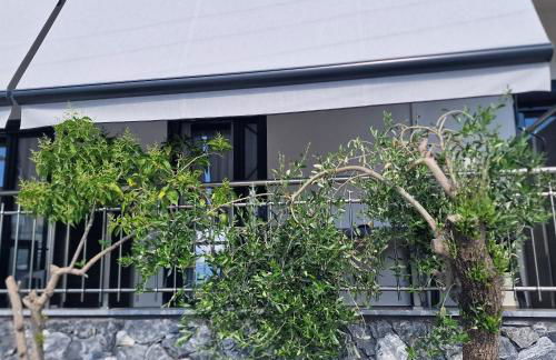 Mama Kitsa - Foto 28