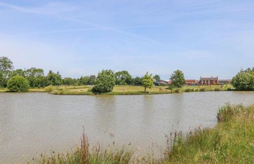 Kingfisher - Foto 23