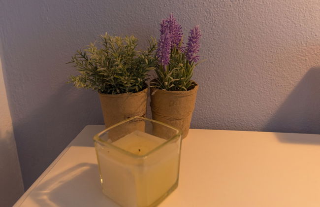 Saraya Resort - Foto 41