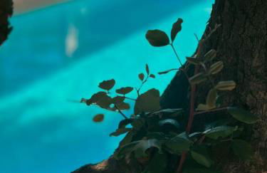 Ammoudara Beach Hotel & Apartments - Foto 70