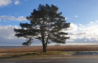 Apartamenty Rogowo Pearl z prywatną sauną lub tarasem na dachu - Foto 28